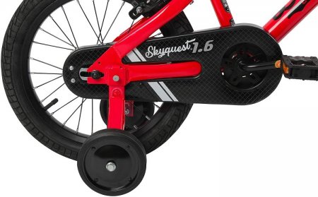 Duzy Customs Skyquest Kids Bike Boys and Girls 16 Inch