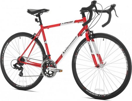 Giordano Libero Acciao Road Bike