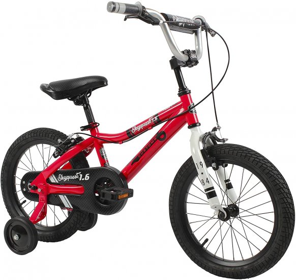 Duzy Customs Skyquest Kids Bike Boys and Girls 16 Inch